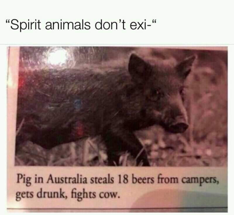 Spirit Animal